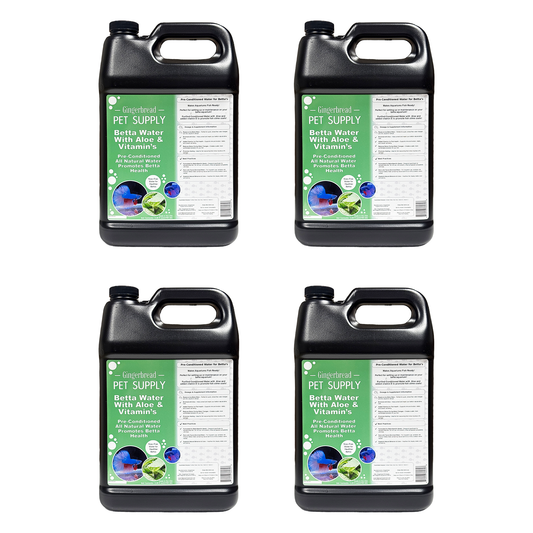Gingerbread Pet Supply Pre-Conditioned Betta Water for Stable Water