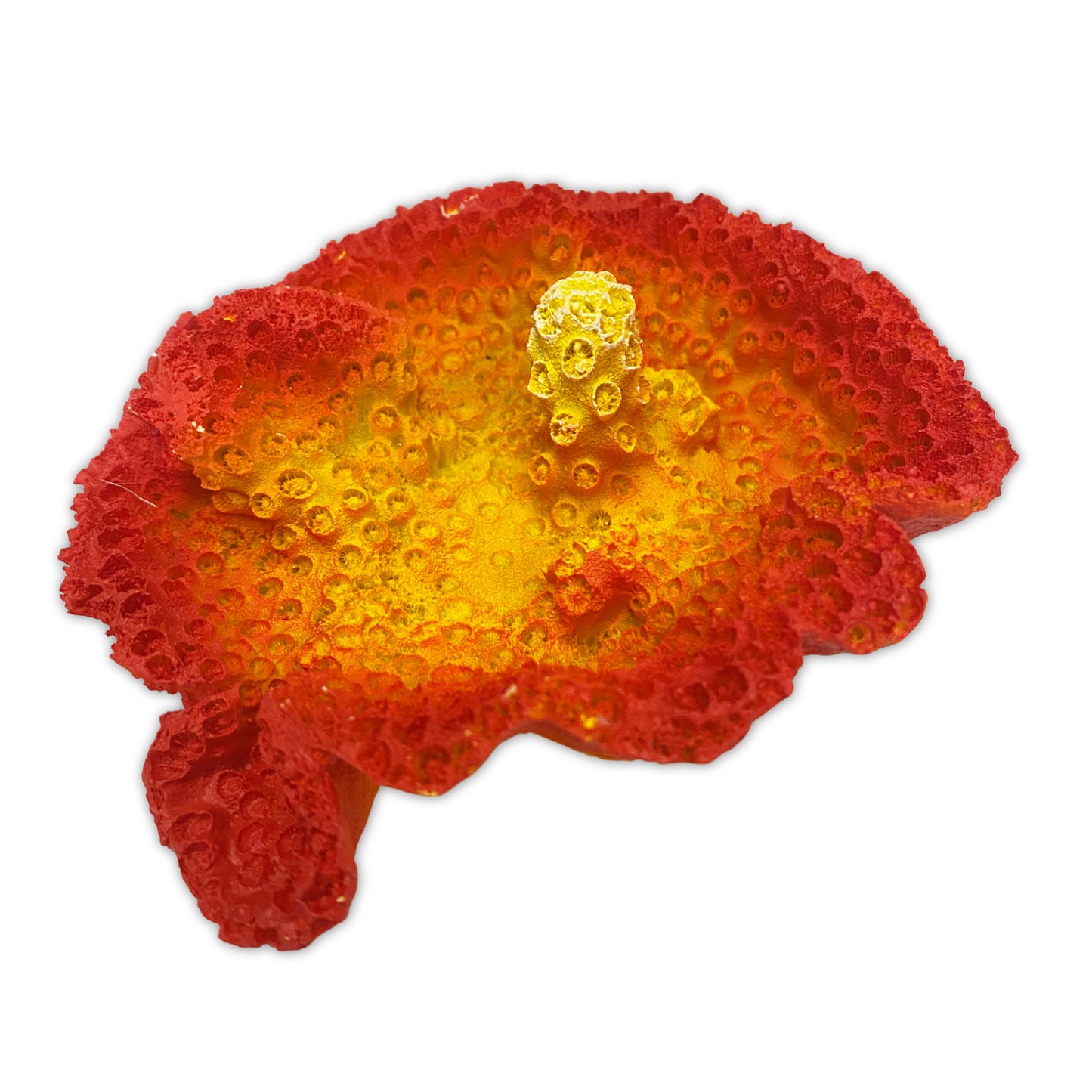 Gingerbread Pet Supply Large Resin Coral Ornaments Decorations for Fresh & Saltwater Aquariums