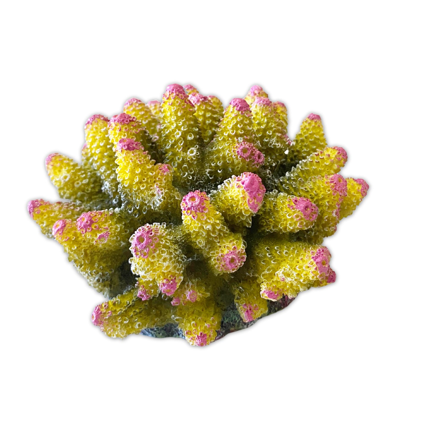 Gingerbread Pet Supply Large Resin Coral Ornaments Decorations for Fresh & Saltwater Aquariums