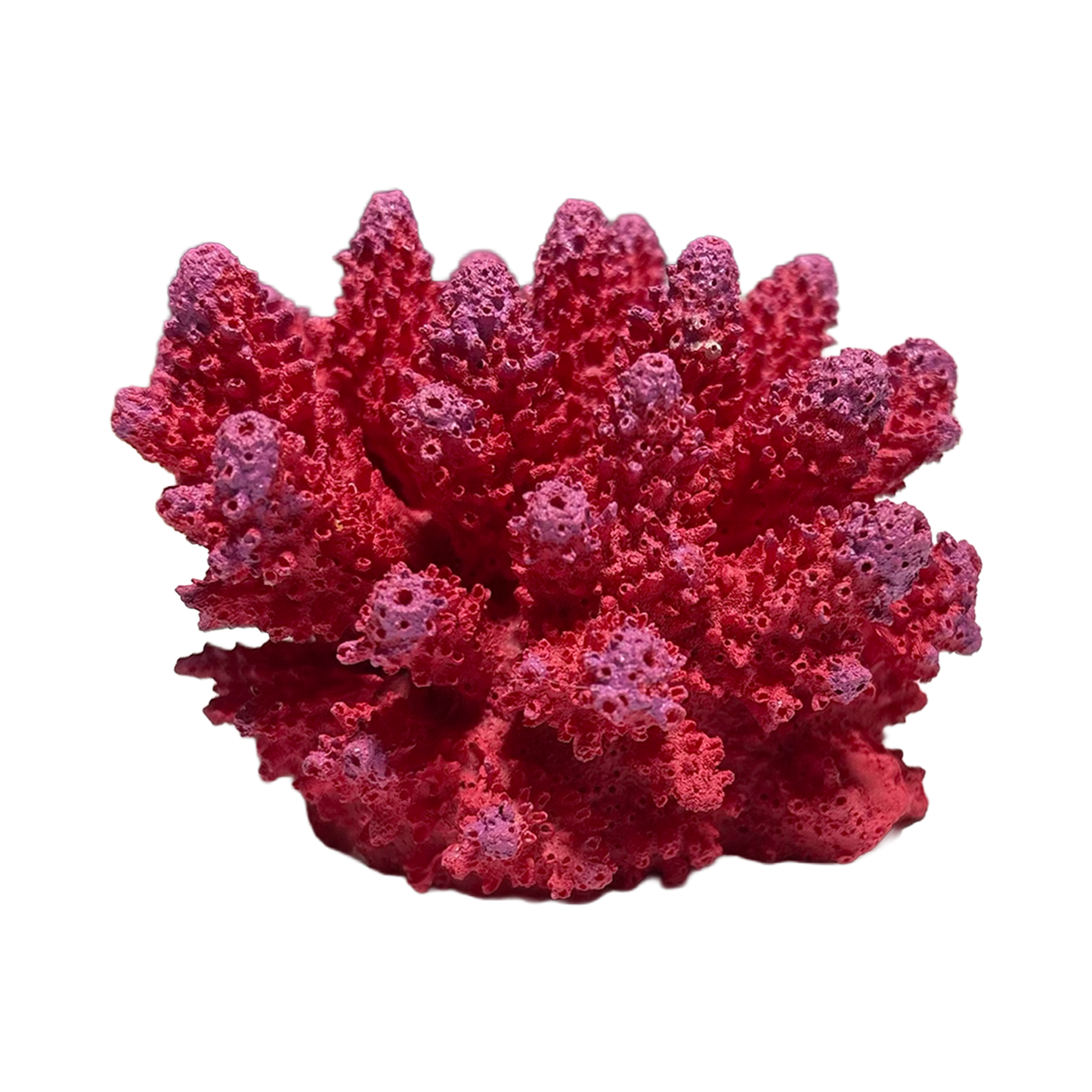 Gingerbread Pet Supply Large Resin Coral Ornaments Decorations for Fresh & Saltwater Aquariums